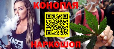 СК Новозыбков