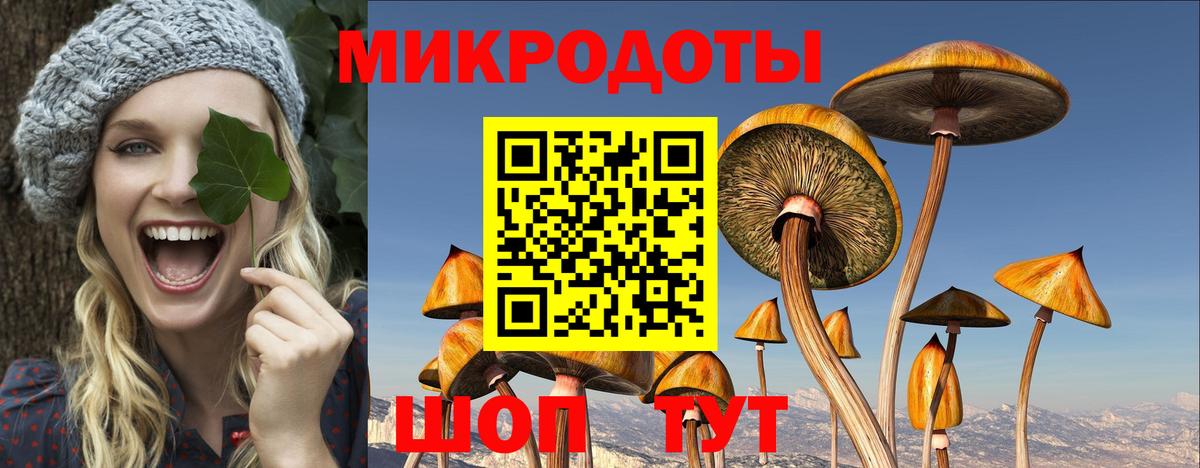 Псилоцибиновые грибы мухоморы  Вход с VPN  купить закладку  Галлюциногенные грибы Magic Shrooms  Отрадное 